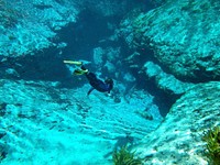 Children participate in snorkeling activities at the Alexander Springs Recreation Area, Ocala National Forest, Florida. Original public domain image from Flickr