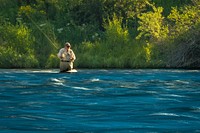 A man fishes the Madison River in the Beaverhead-Deerlodge National Forest south of Ennis, Montana.