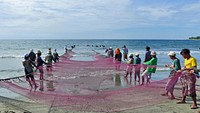 Hauling the net ashore Philippines.Marine fishing in the Philippines in more than an industry; it is a way of life, notably net fishing from small boats and the beach. Original public domain image from Flickr