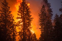 The Pioneer Fire, Boise National Forest, Idaho, 2016. Original public domain image from Flickr