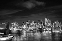Lower Manhattan (black and white)