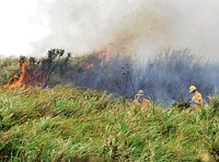 U.S. Air Force firefighters from Andersen Air Force Base, Guam, support the local Guam fire department with a wildfire near the base?s front gate Jan. 26, 2010.