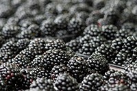 Blackberries at the U.S. Department of Agriculture (USDA) Farmers Market in Washington, D.C., on August 6, 2018.