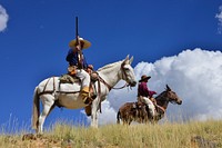Men riding mules in Fishlake National Forest, Utah. Original public domain image from Flickr