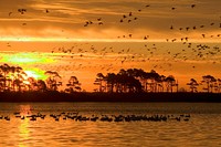 Sunset and lake background. Original public domain image from  Flickr