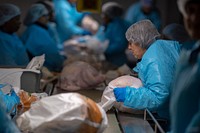 Workers package turkeys at Plainville Farms in New Oxford, Pennsylvania, October 31, 2018.