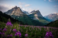 Going to the Sun Road. Original public domain image from Flickr