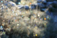 Closeup on textured frost. Free public domain CC0 photo.