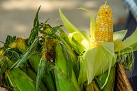 Fresh corn. Original public domain image from Flickr