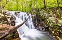 Rose River Falls, forest stream background. Free public domain CC0 photo.