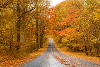 Beautiful Autumn aesthetic background, skyline drive. Free public domain CC0 photo.