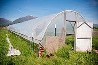 Laura Garber and Henry Wvenshche, Homestead Organics farm near Hamilton, Mont., worked with NRCS to plan and install a high tunnel to conserve water, keep nutrients in the soil and increase yields. Ravalli County, Montana. June 2017. Original public domain image from <a href="https://www.flickr.com/photos/160831427@N06/45253990875/" target="_blank">Flickr</a>