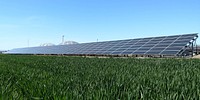 The Ántukš-Tińqapapt or “sun trap” solar array recently installed by the Confederated Tribes of the Umatilla Indian Reservation in Oregon. Original public domain image from Flickr