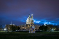 The 2018 Capitol Christmas Tree was was chosen from the Willamette National Forest located in Oregon. Original public domain image from Flickr