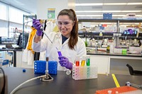 Student at iCLEM, introductory college level experience in microbiology at Lawrence Berkeley National Laboratory in Berkeley, CA. Original public domain image from Flickr