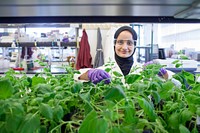 Student at iCLEM, introductory college level experience in microbiology at Lawrence Berkeley National Laboratory in Berkeley, CA. Original public domain image from Flickr