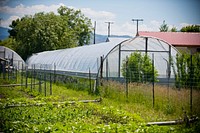 Laura Garber and Henry Wvenshche, Homestead Organics farm near Hamilton, Mont., worked with NRCS to plan and install a high tunnel to conserve water, keep nutrients in the soil and increase yields.