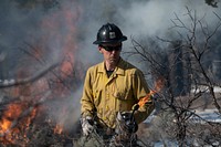 U.S. Department of Agriculture (USDA) Forest Service (USFS) Kaibab National Forest fire personnel Brandon Oberhardt (seen), Quentin Ford and Chantel Herrick lead the pile burning operation at the Kaibab National Forest, Tusayan Ranger District, Flying J project area in Arizona, on Dec 3, 2018.