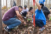 Fulbright MENA Community Service Activities at National Arboretum, Washington, D.C., USA, March 15, 2019.