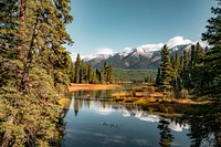 In the heart of the Rocky Mountains, west of the continental divide and just south of the Canadian border, lies the 2.4 million acre Flathead National Forest in Montana.