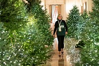 White House Christmas 2018Volunteers decorate the White House in preparation for the upcoming Christmas season. (Official White House Photo by Andrea Hanks). Original public domain image from Flickr