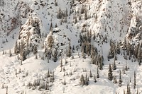 Snowy cliffs of Mt. Haynes. Original public domain image from Flickr