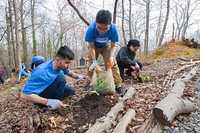 Fulbright MENA Community Service Activities at National Arboretum, Washington, D.C., USA, March 15, 2019.