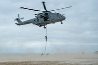 British Royal Marines fast rope from a British Merlin helicopter during a distinguished visitor (DV) day amphibious landing exhibition held as part of Exercise Baltic Operations (BALTOPS) 2019 at Palanga, Lithuania, June 16, 2019 . BALTOPS is the premier annual maritime-focused exercise in the Baltic Region, marking the 47th year of one of the largest exercises in Northern Europe enhancing flexibility and interoperability among allied and partner nations.