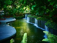 Botanical small waterfall garden. Free public domain CC0 image.