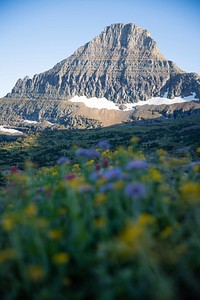 Mount Reynolds. Original public domain image from Flickr