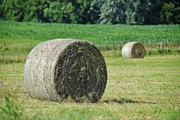 Bales of hay in a field. Original public domain image from Flickr