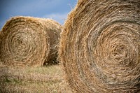 Rolled bales along the roadways, and grassland in and near the U.S. Department of Agriculture (USDA) Thunder Basin National Grassland, along Highway 16 and 450, in Northeast Wyoming, on July 29, 2019.