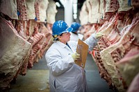 U.S. Department of Agriculture Supervisory Agricultural Commodity Graders (Meat) correlate on beef at their annual national beef correlation event, August 13, 2019.USDA Photo by Preston Keres. Original public domain image from Flickr