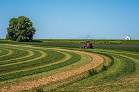 Brad Moos and his Daughter Callie, 12, windrow alfalfa outside of Eaton, Colorado, August 12, 2019.USDA Photo by Preston Keres. Original public domain image from Flickr