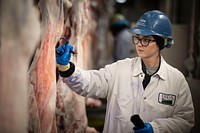 U.S. Department of Agriculture Agricultural Commodity Grader (Meat) Alexandria Vargas performs grading service on lamb, August 12, 2019.USDA Photo by Preston Keres. Original public domain image from Flickr