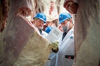 U.S. Department of Agriculture Supervisory Agricultural Commodity Graders (Meat) correlate on beef at their annual national beef correlation event, August 13, 2019.USDA Photo by Preston Keres. Original public domain image from Flickr