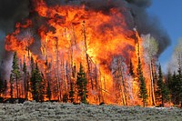 Stand replacement prescribed fire, South Monroe, USA. Original public domain image from Flickr