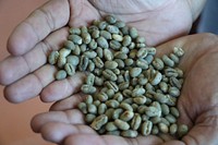 Forest-friendly coffee beans. Original public domain image from Flickr