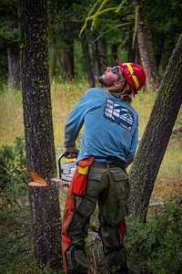 U.S. Forest Service Pintler Ranger District Initial Attack Crewmembers clear the understory of a timber stand to improve growth and wildlife habitat in Beaverhead-Deerlodge National Forest Montana, September 18, 2019.