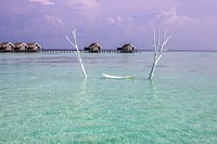 Tropical Island hammock scenery. Free public domain CC0 photo.