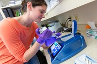 Measuring the quality, purity, and concentration of the extracted DNA with a spectrophotometer to be used for qPCR (real-time polymerase chain reaction) testing by Jacob W. Frank. Original public domain image from Flickr