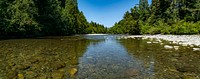 Before log jam installation in the South Fork Nooksack River.