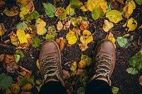 Autumn leaves, nature image. Free public domain CC0 photo.