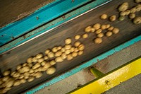 U.S. Department of Agriculture (USDA) Secretary Sonny Perdue and American Farm Bureau Federation President Zippy Duval visit Better Made Snack Foods in Detroit, Michigan, September 26, 2019.USDA Photo by Preston Keres. Original public domain image from Flickr