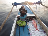 Bersiap Mengukur Ikan