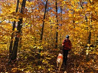 Dave de Vinck enjoying the fall colors and recreation opportunities in the Adirondacks of northeastern New York, on October 19, 2019. Courtesy photo by Emily de Vinck. Original public domain image from Flickr