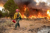 Trout Springs Rx Fire. Firefighters using drip torches to ignite slash piles. (DOI/Neal Herbert). Original public domain image from Flickr