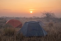 Tents at sunrise, Trout Springs Rx Fire. Original public domain image from Flickr