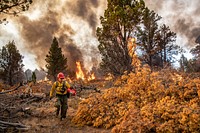 Trout Springs Rx Fire. Firefighters using drip torches to ignite slash piles. (DOI/Neal Herbert). Original public domain image from Flickr