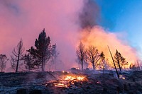 Sunset at the Trout Springs Rx Fire. Original public domain image from Flickr